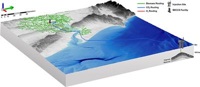 Putting Bioenergy With Carbon Capture and Storage in a Spatial Context: What Should Go Where?